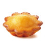 Mirabelles (x16) 360g - St Michel