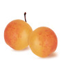 Mirabelles (x16) 360g - St Michel