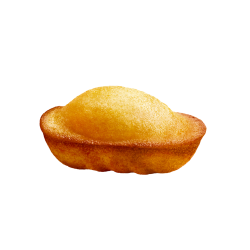 Petites Madeleines 500g