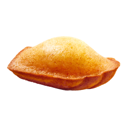Madeleines moelleuses (x54)
